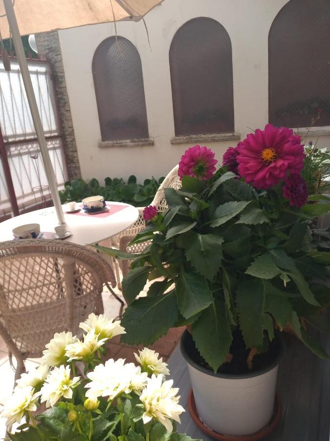 Casetta โรม ภายนอก รูปภาพ